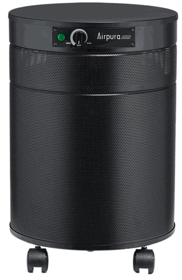 Airpura P600 Plus Air Purifier with UV Light and Titanium Dioxide HEPA Filter