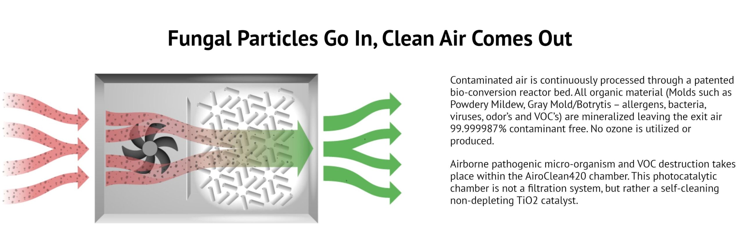 AiroClean 420 Home and Hobby Replacement Filter and UV Lamp Kit - Image 3