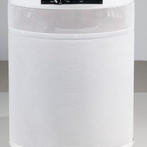 Airpura P714 Plus Germ and Chemical Reduction Titanium Dioxide Air Purifier