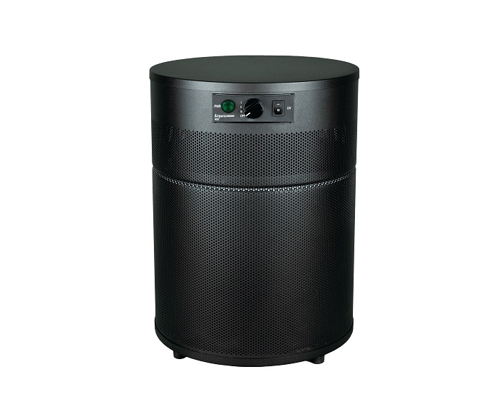 Airpura R400 Portable All Purpose Everyday HEPA & Carbon Air Purifier - Image 2