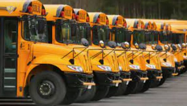 Ozone Solutions DR-10 Plus High Output Corona Discharge Ozone Generator - Image 5