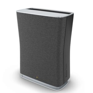 Stadler Form Roger Little HEPA Air Purifier - Black
