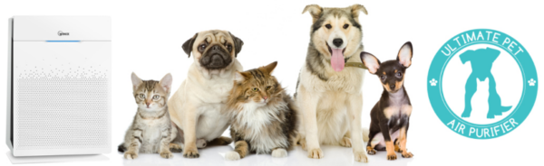 Winix HR900 Ultimate Portable Pet & Home Air Purifier - Image 9